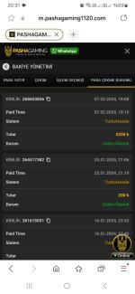 Screenshot_20240207_203147_Samsung Internet.jpg