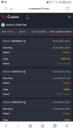 Screenshot_20240331-004522_Samsung Internet.jpg