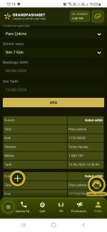 Screenshot_20240613_191431_Samsung Internet.jpg