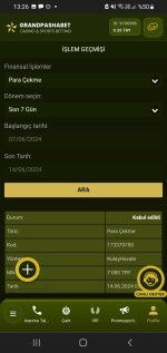 Screenshot_20240614-132645_Chrome Beta.jpg