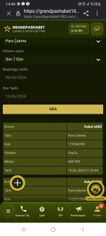 Screenshot_20240615_144615_Samsung Internet.jpg