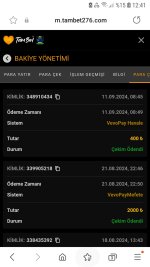 Screenshot_20240911-124150_Samsung Internet.jpg