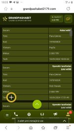 Screenshot_20240918-180549_Samsung Internet.jpg