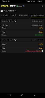 Screenshot_20240924-065203_Samsung Internet.jpg