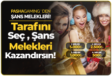 1659079412344.png 1659079412344.png