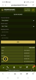 Screenshot_20241005_020945_Samsung Internet.jpg