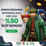 1731798553737.png 1731798553737.png