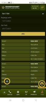 Screenshot_20241120_113403_Samsung Internet.jpg