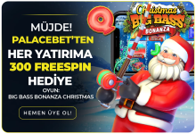 1733093597798.png 1733093597798.png