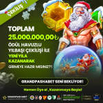 1735032918423.png 1735032918423.png