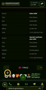 Screenshot_20250117_134347_Samsung Internet.jpg