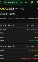 Screenshot_2025-01-28-21-48-18-90_40deb401b9ffe8e1df2f1cc5ba480b12 (1).jpg