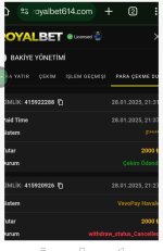 Screenshot_2025-01-28-21-55-53-70_40deb401b9ffe8e1df2f1cc5ba480b12 (1).jpg