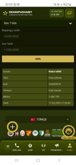 Screenshot_20250217_200025_Samsung Internet.jpg