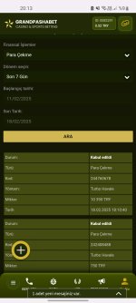 Screenshot_20250218-201316_Samsung Internet.jpg