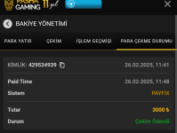 chrome_screenshot_27 Şub 2025 08_42_20 GMT+03_00.png