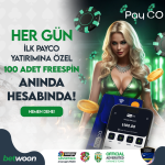 1741266636794.png 1741266636794.png