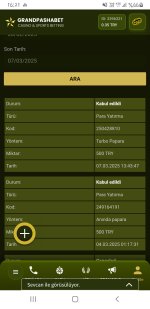 Screenshot_20250307-162147_Chrome Dev.jpg