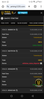 Screenshot_20250313-065119.png Screenshot_20250313-065119.png