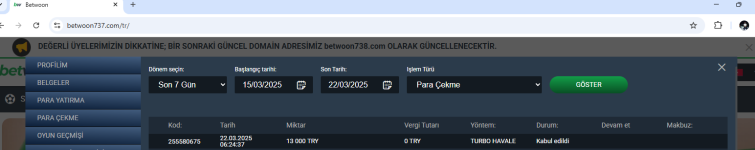 Ekran görüntüsü 2025-03-22 064015.png