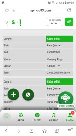 Screenshot_20250323-050746_Samsung Internet.jpg