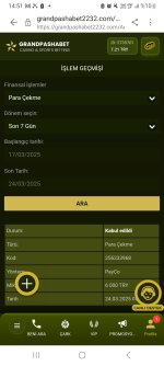 Screenshot_20250324_145201_Samsung Internet.jpg