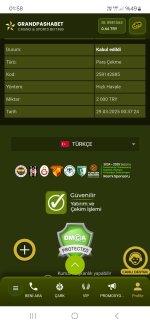 Screenshot_20250329_015813_Samsung Internet.jpg