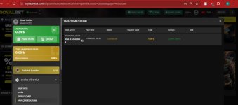 Ekran görüntüsü 2025-03-31 011143.jpg