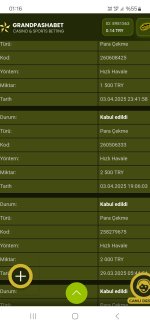 Screenshot_20250404_011618_Samsung Internet.jpg