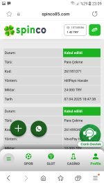 Screenshot_20250407-230904_Samsung Internet.jpg