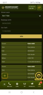 Screenshot_20250411_021705_Samsung Internet.jpg