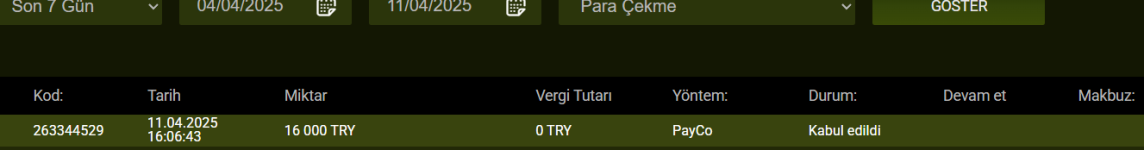 Ekran görüntüsü 2025-04-11 171008.png