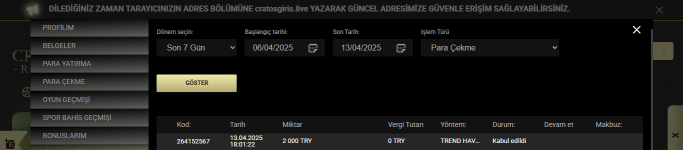 Ekran görüntüsü 2025-04-13 182210.png