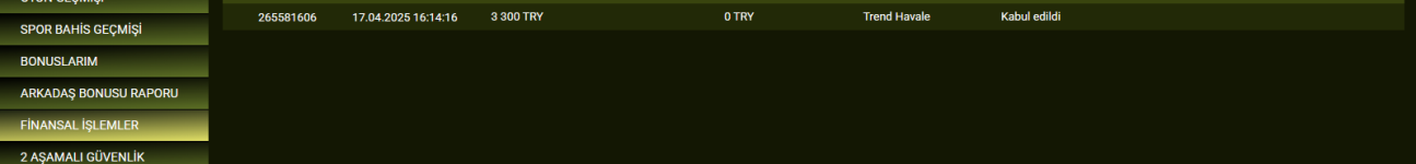 Ekran görüntüsü 2025-04-17 222725.png