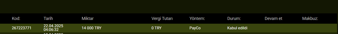 Ekran görüntüsü 2025-04-22 041439.png