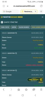 Screenshot_20250504_004014_Samsung Internet.jpg