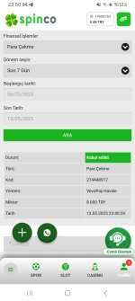 Screenshot_20250513_235046_Samsung Internet.jpg