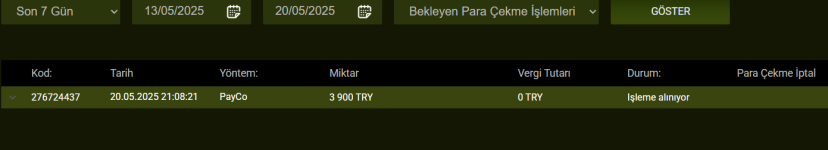 Ekran görüntüsü 2025-05-20 210942.png