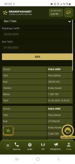 Screenshot_20250601_200316_Samsung Internet.jpg