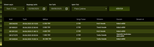 Ekran görüntüsü 2025-06-09 205041.png