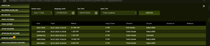 Ekran görüntüsü 2025-07-04 225018.png