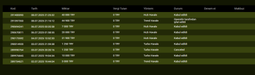 Ekran görüntüsü 2025-07-06 003948.png