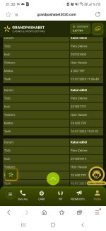 Screenshot_20250712-213017_Samsung Internet.jpg