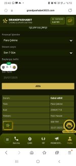 Screenshot_20250720-234223_Samsung Internet.jpg