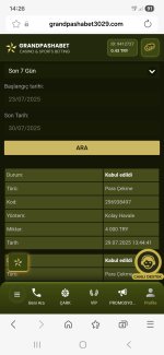 Screenshot_20250730_142637_Samsung Internet.jpg