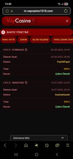 Screenshot_20250803_154915_Samsung Internet.jpg