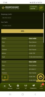 Screenshot_20250815_174634_Samsung Internet.jpg