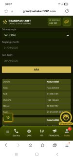 Screenshot_20250928_000756_Samsung Internet.jpg