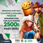 1759056105755.png 1759056105755.png