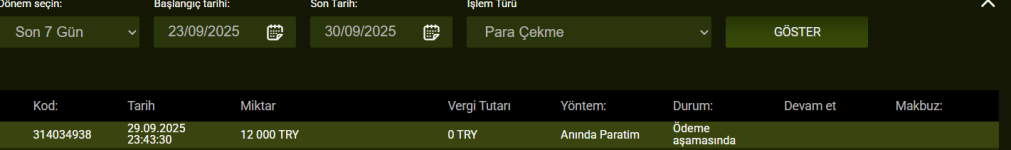 Ekran görüntüsü 2025-09-30 003937.png